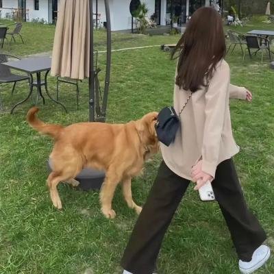 白衣天使